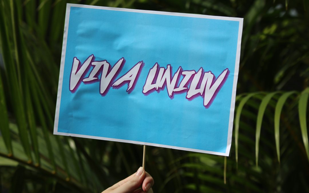 Viva Uniuv apresenta potencialidades dos cursos de graduação para estudantes do ensino médio e comunidade