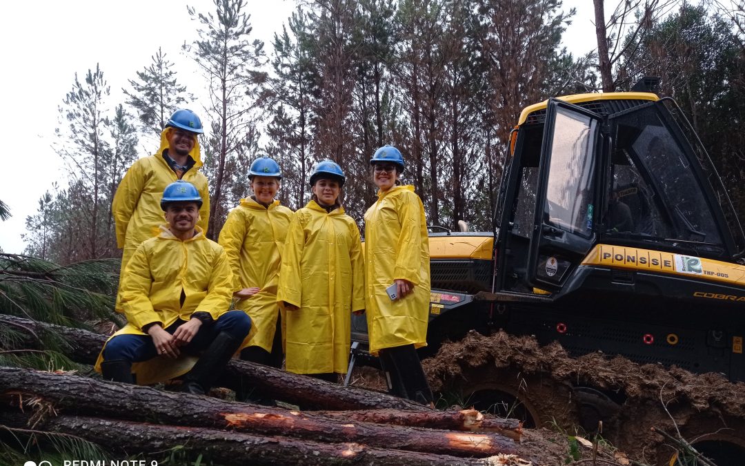 Engenharia Ambiental